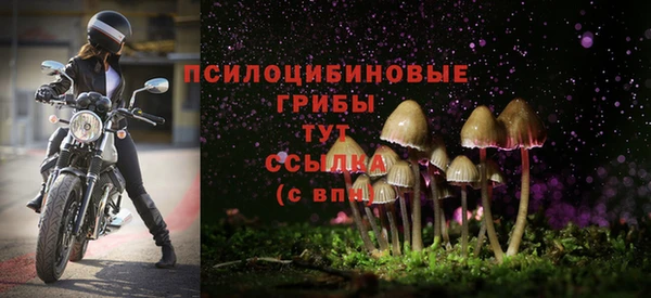 гашик Наволоки